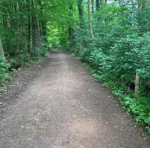 Huerth/koeln Gaestewohnung Lejlighed Hürth